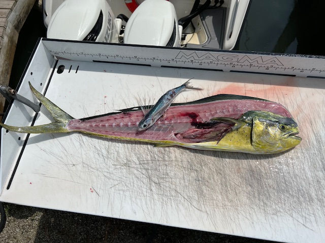 Fishing charters Sneads Ferry NC | One More Cast Fishing Adventures