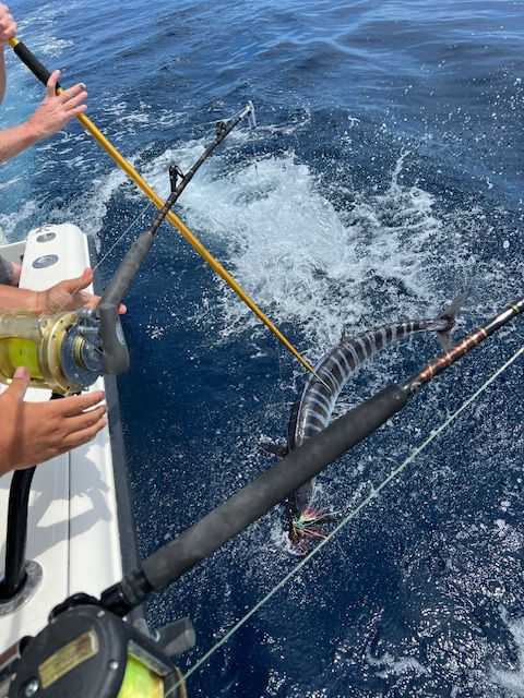 Fishing charters Sneads Ferry NC | One More Cast Fishing Adventures