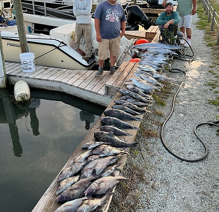 Offshore fishing catch with One More Cast